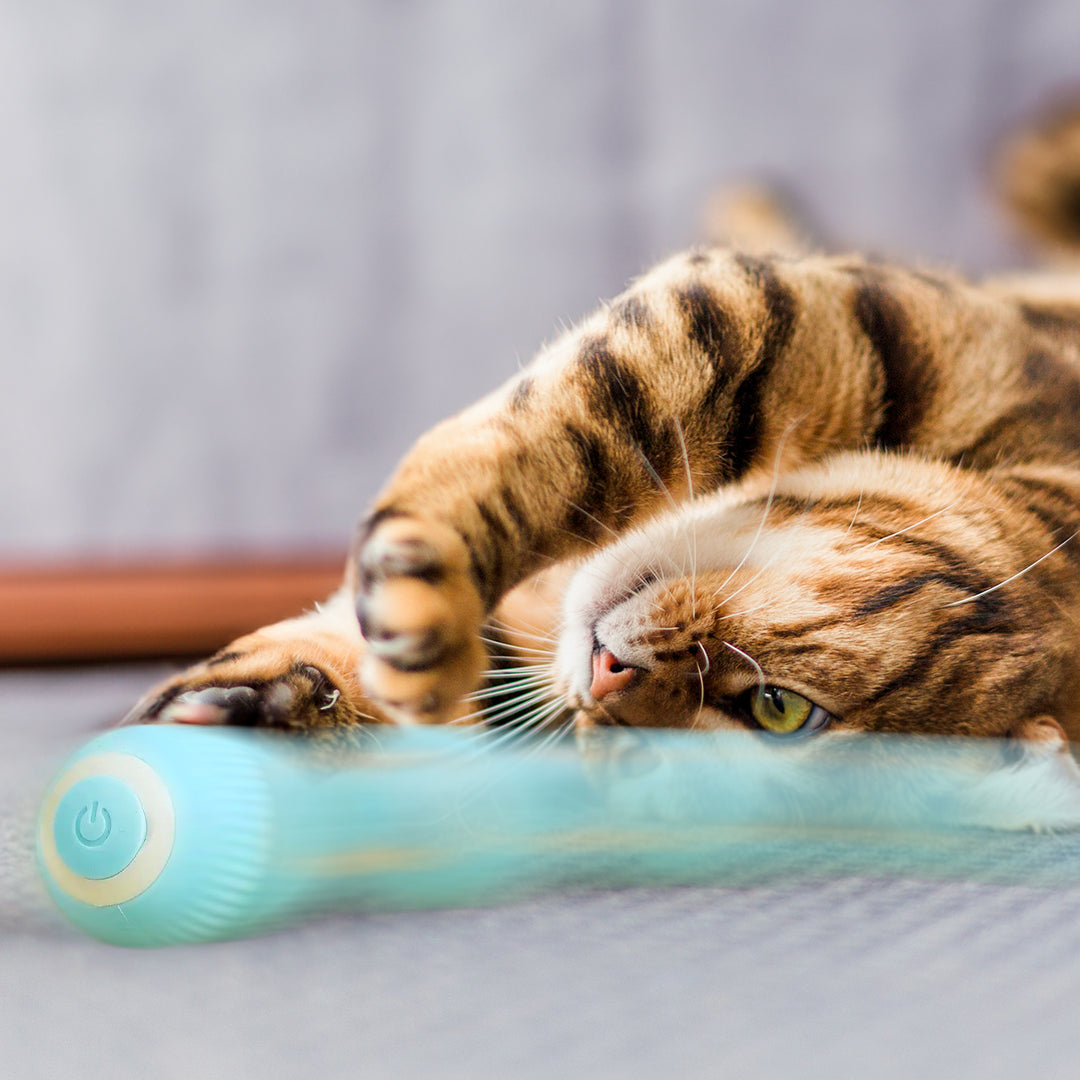 Smart Evasive Toy For Cats