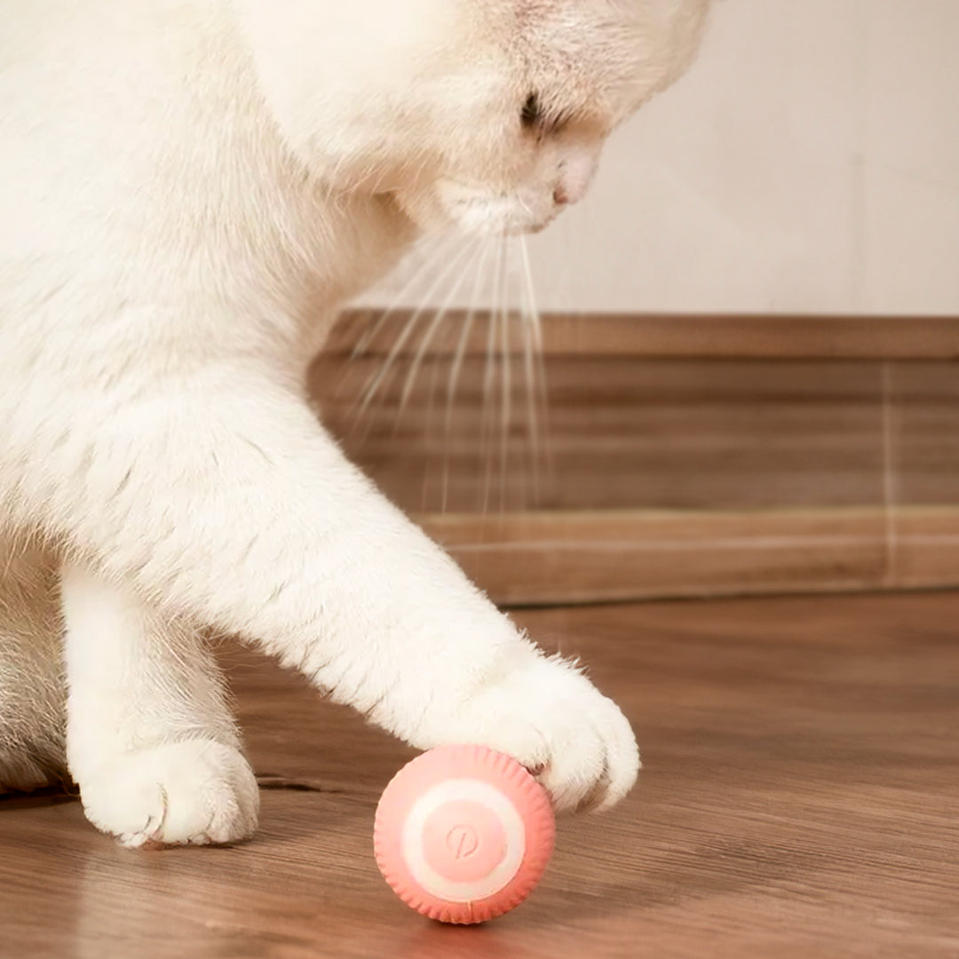 Smart Evasive Toy For Cats